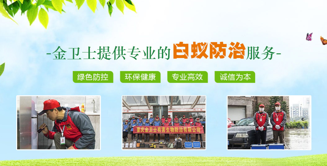 丑陋的蟑螂看起來很可怕。如何解決這種情況？