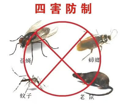 床墊易滋生吸血臭蟲，怎樣預防呢？